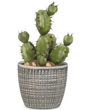 Scheurich Blumentopf Corteza Rillenoptik Versch Farben & Größen Pflanztopf