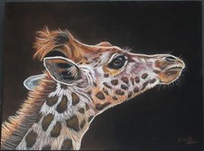 Original Pastel Painting
