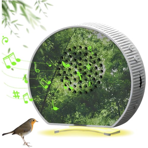 Vogelgezwitscher soundbox mit - soundbox,