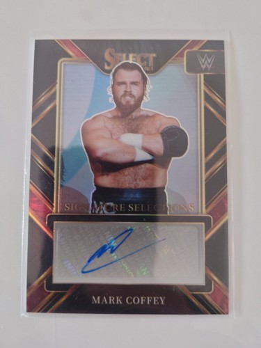 Panini wwe select mark - wwe, 1/1