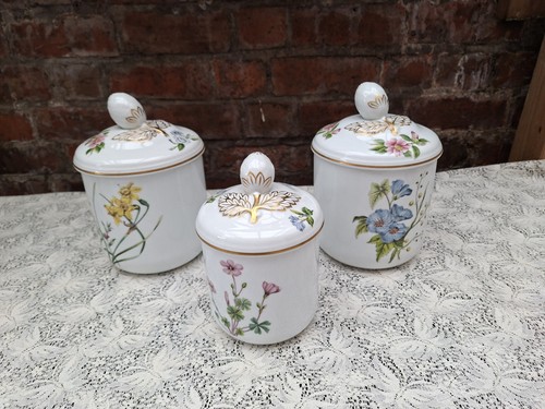 Spode stafford blumen - x,