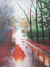 DAVID HOCKNEY LITHOGRAPHIE