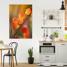 banjado Glas Bild als Wandbild