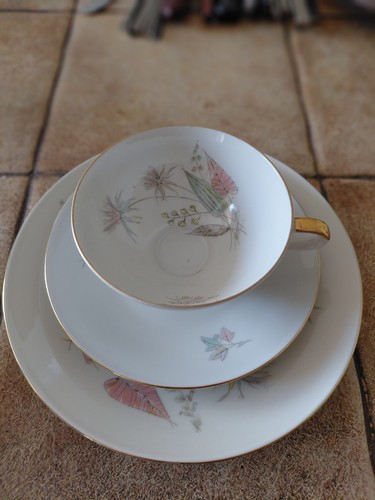 Winterling marktleuthen - winterling,