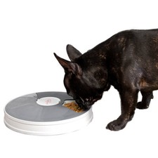 infactory Zeitgesteuerter