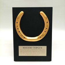 Rennpferd Mayano Top Gun