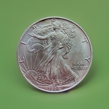 US 1 Dollar 1991 ,Silber  999