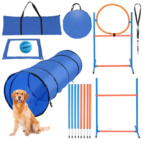 Hunde agility hundetraining - hunde,