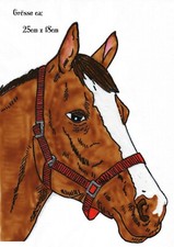 Window Color Bild Fensterbild