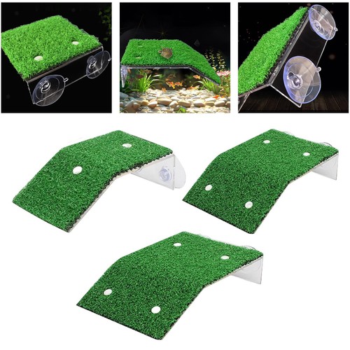 Turtle basking platform - turtle,