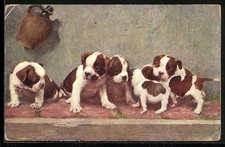 Ansichtskarte Die Stammhalter, nach Gemälde von Jobst, Hundewelpen, Boxer 
