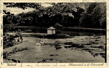 Ak Walsrode in der Lüneburger Heide, Schwanenteich,  Entenhaus,... - 4895079