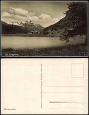 Ansichtskarte Silvaplana Silvaplauna Panorama-Ansicht, Umland-Ansicht 1930