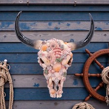 Muschel bison totenkopf - muschel,