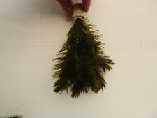 1 Bund  Wasserpflanzen, Teichpflanzen, Ceratophyllum, Hornkraut Aquarium