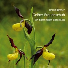 Gelber Frauenschuh Ein