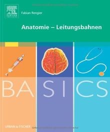 Basics anatomie - basics,
