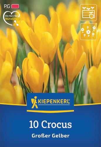 Kiepenkerl großblumiger - kiepenkerl,