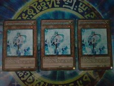 3 × Effektverschleierin Rare