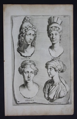 1680 castor cybele fedra - 1680,