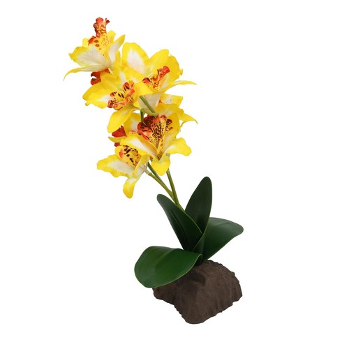 Lucky reptile scape easy - reptile,