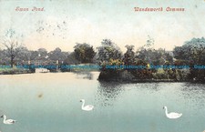 R098569 Swan Pond. Wandsworth