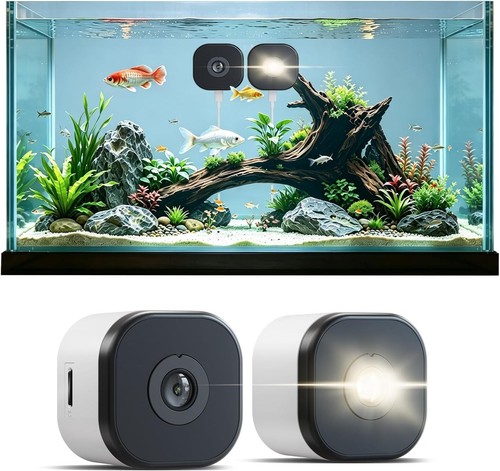 Aquarium kamera für - 24/7,