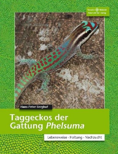 Taggeckos der gattung - gattung, phelsuma