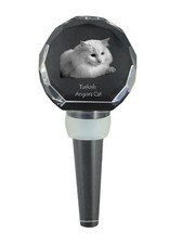 Türkisch Angora dicker