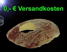 TOP Aquarium Deko künstliche