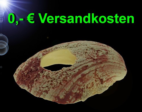 Top aquarium deko künstliche - aquarium,