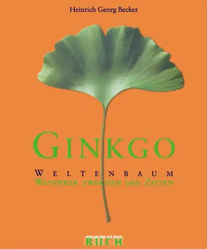 Ginkgo weltenbaum - -,