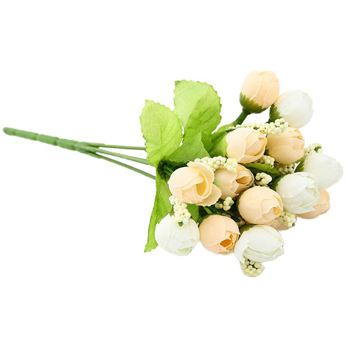 Sternknospe rosen - sternknospe,