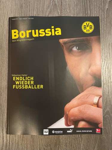 Bvb borussia - bvb*,