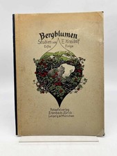 Bergblumen: Studien von Ernst Kreidolf: Erste Folge Kreidolf, Ernst: