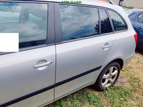 Tür hinten links skoda fabia - hinten,