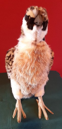 Turmfalke deko - turmfalke,