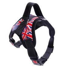 Bulldogge Hund Haustier