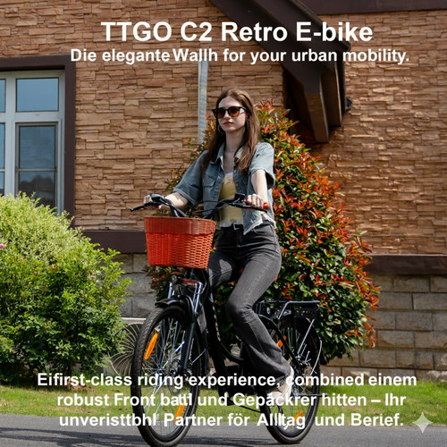 City bike zoll 36v - 26,