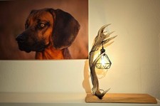 Rothirsch Stehlampe