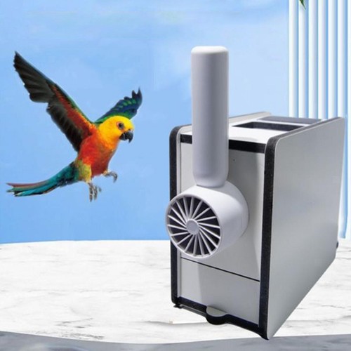 Stück vogel futter hirse - vogel,