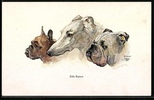 Künstler-AK Englische und