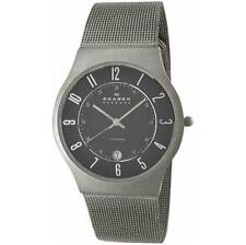 Skagen Designs Titanium