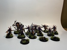 Warcry Warband Painted /