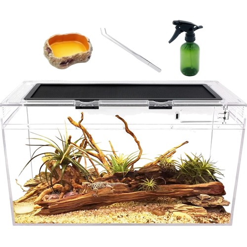 Terrarium komplettset reptile - komplettset,