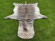 Hartmann Bergzebra Zebrafell aus Namibia - 2,80 m Länge x 1,81  m Breite