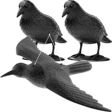 Vogelschreck krähe rabe - vogelschreck,