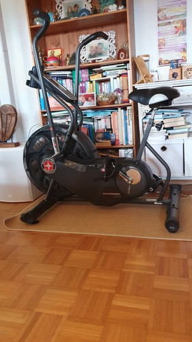 Schwinn airdyne - schwinn,