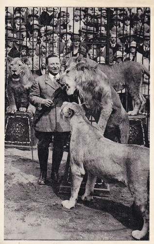 Zirkus schneider foto - zirkus,