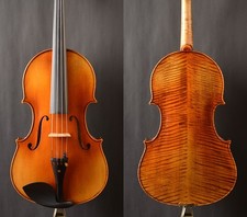 Special offer!Gamba style A